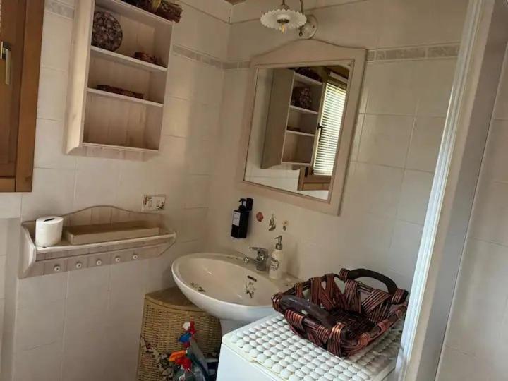 "Fresia" Chalet Turistico A Fisto Appartement Spiazzo  Buitenkant foto